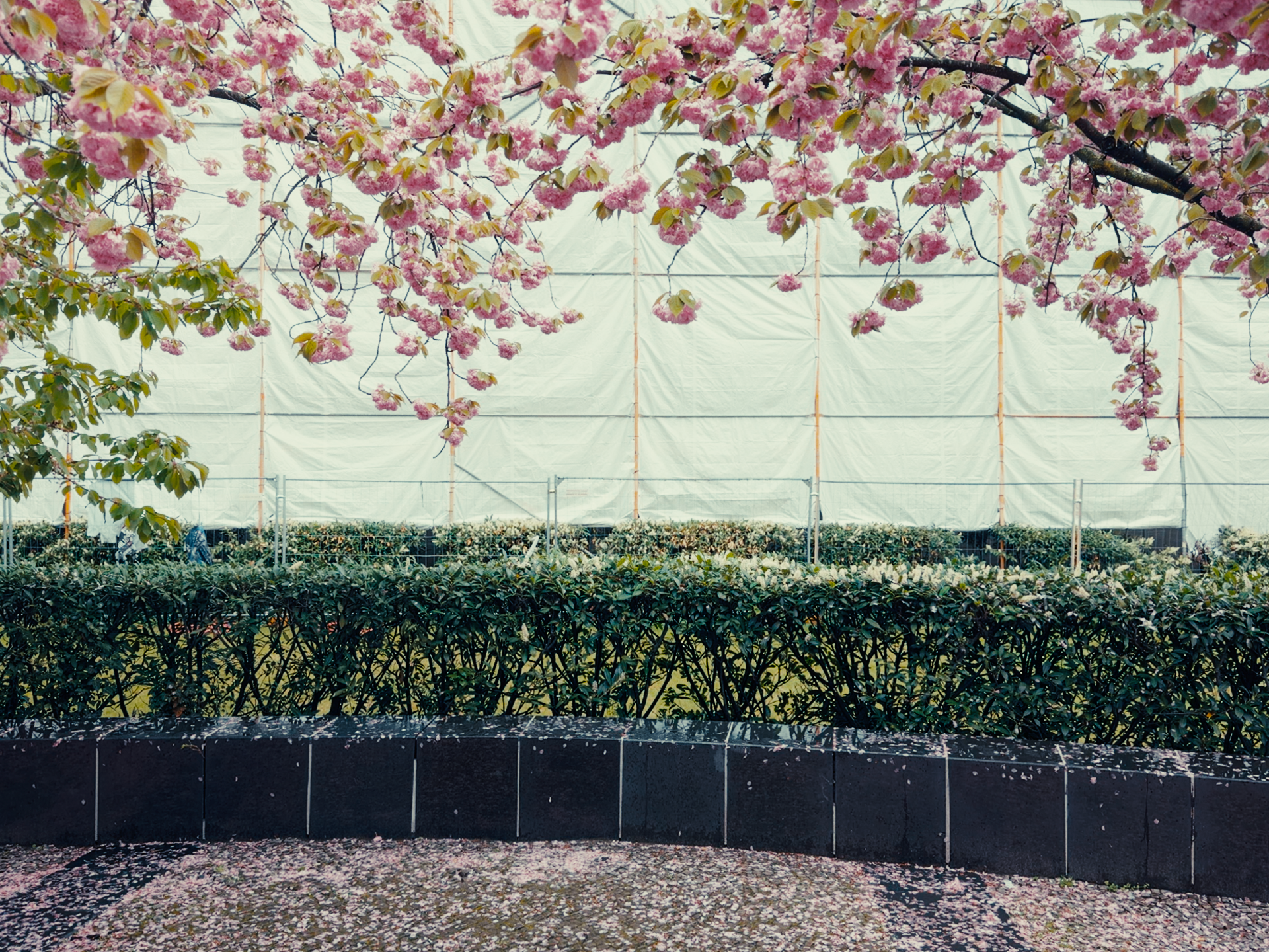 FILMFLOW PowerGrade & LUT Pack