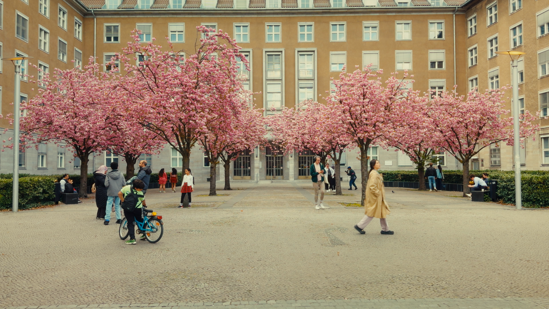 FILMFLOW PowerGrade & LUT